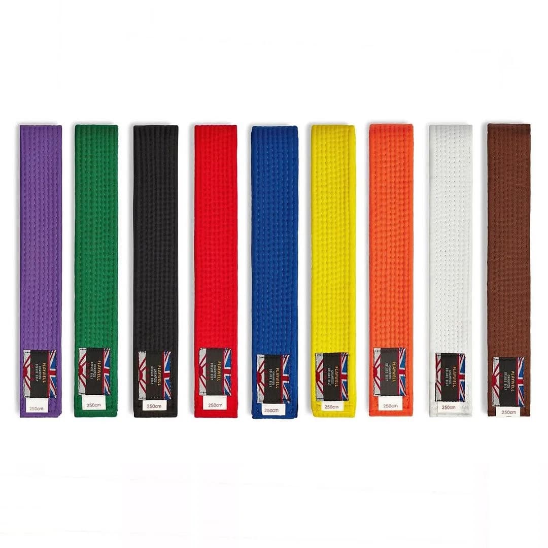Martial arts belts featuring detailed custom embroidered logos representing various dojos